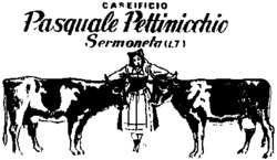 Pasquale Pettinicchio