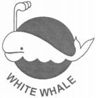 WHITE WHALE