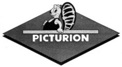 PICTURION