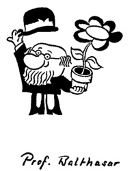Prof. Balthasar