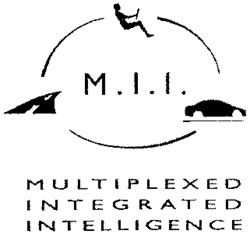M.I.I. MULTIPLEXED INTEGRATED INTELLIGENCE