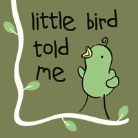 little bird told me
