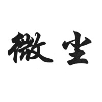The transliteration of the two Chinese characters in the mark is “Wei Chen”