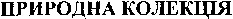 The words in Cyrillic characters whose transliteration is 