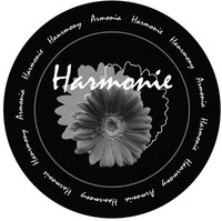 Harmonie Harmony Armonia