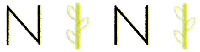 NINI