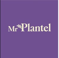 Mr Plantel