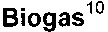 Biogas10