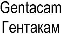 Gentacam