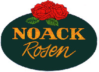 NOACK Rosen