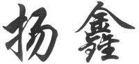 YANG XIN