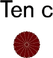 TEN C