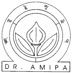 DR. AMIPA