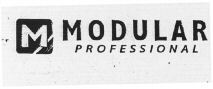 M MODULAR PROFESSIONAL