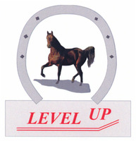 LEVEL UP