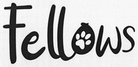 Fellows