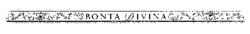 BONTA DIVINA