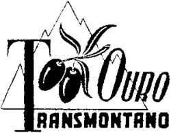 OURO TRANSMONTANO