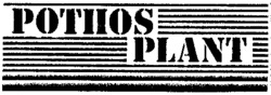 POTHOS PLANT