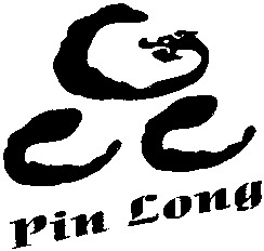 Pin Long