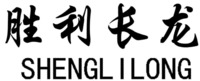 SHENGLILONG