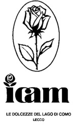icam