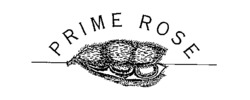 PRIME ROSE