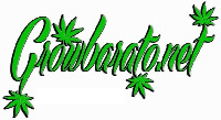 Growbarato.net