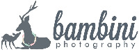 bambini photography