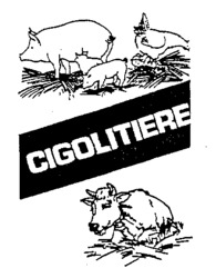 CIGOLITIERE