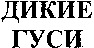 DIKIYE GUSI