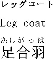 Leg coat