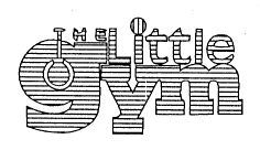THE Little Gym