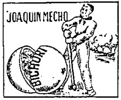 JOAQUIN MECHO