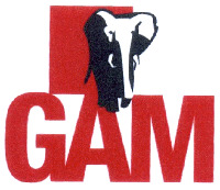 GAM
