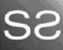 SS