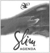 Slim AGENDA