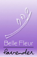 Belle Fleur lavender