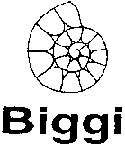 Biggi