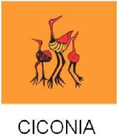 CICONIA