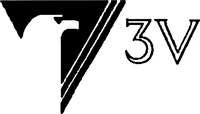 3V