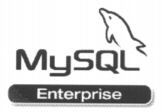 MySQL Enterprise