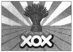 XOX
