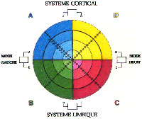 SYSTEME CORTICAL SYSTEME LIMBIQUE
