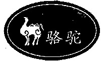 Camel.
