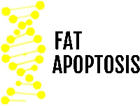 FAT APOPTOSIS