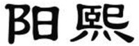 YANG XI