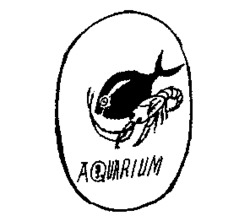 AQUARIUM