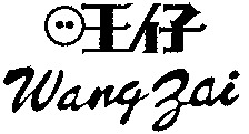 Wang Zai