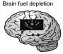 Brain fuel depletion